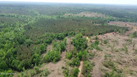 0 Highway 440, West, MS 39192 photo 33