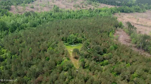 0 Highway 440, West, MS 39192 photo 37
