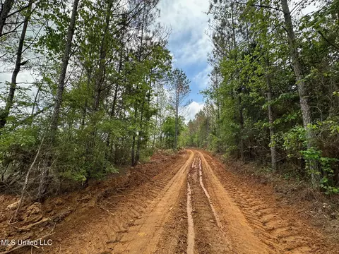 0 Highway 440, West, MS 39192 photo 16