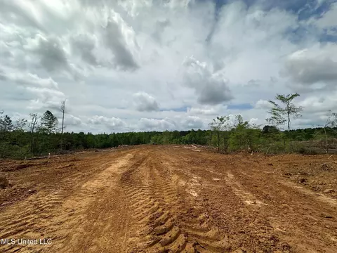 0 Highway 440, West, MS 39192 photo 6