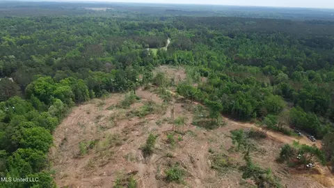 0 Highway 440, West, MS 39192 photo 30