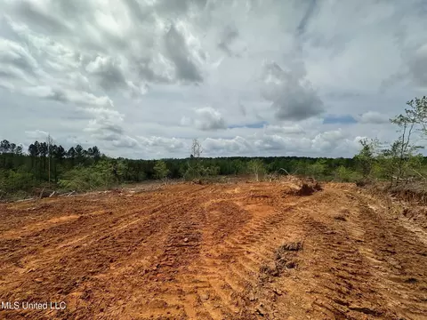 0 Highway 440, West, MS 39192 photo 5