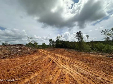 0 Highway 440, West, MS 39192 photo 4