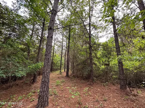 0 Highway 440, West, MS 39192 photo 27