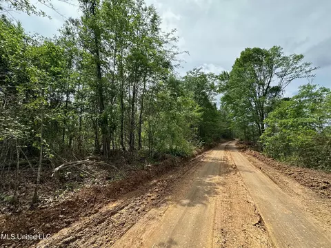 0 Highway 440, West, MS 39192 photo 17
