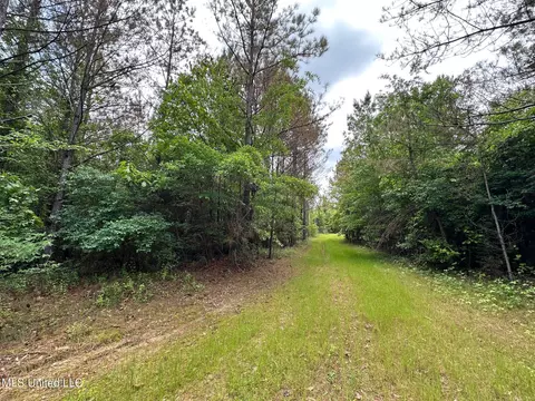0 Highway 440, West, MS 39192 photo 23
