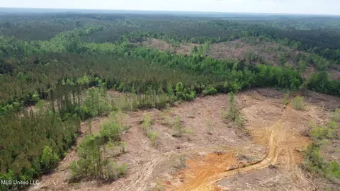 0 Highway 440, West, MS 39192 photo 28