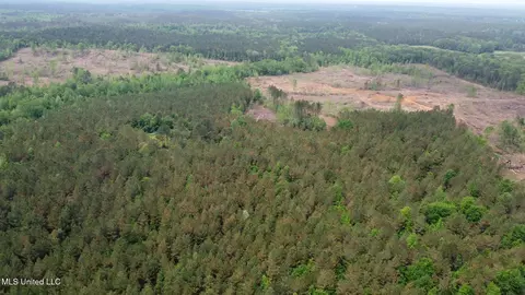 0 Highway 440, West, MS 39192 photo 36