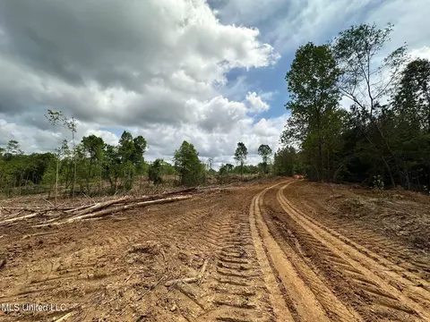0 Highway 440, West, MS 39192 photo 15