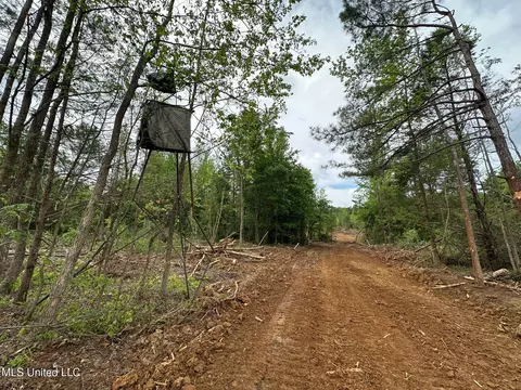 0 Highway 440, West, MS 39192 photo 9