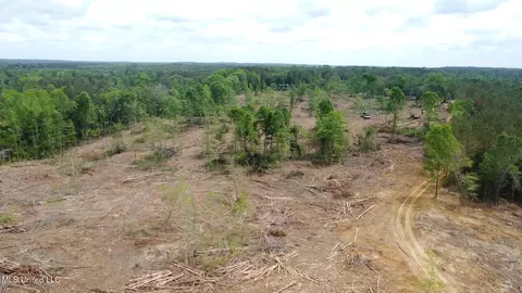 0 Highway 440, West, MS 39192 photo 29