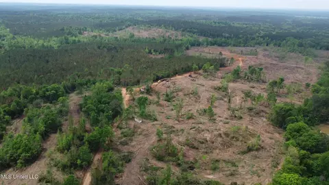 0 Highway 440, West, MS 39192 photo 32