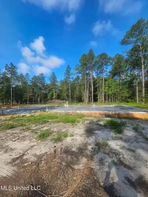 18517 Goff Farm Rd, Moss Point, MS 39562 photo 3