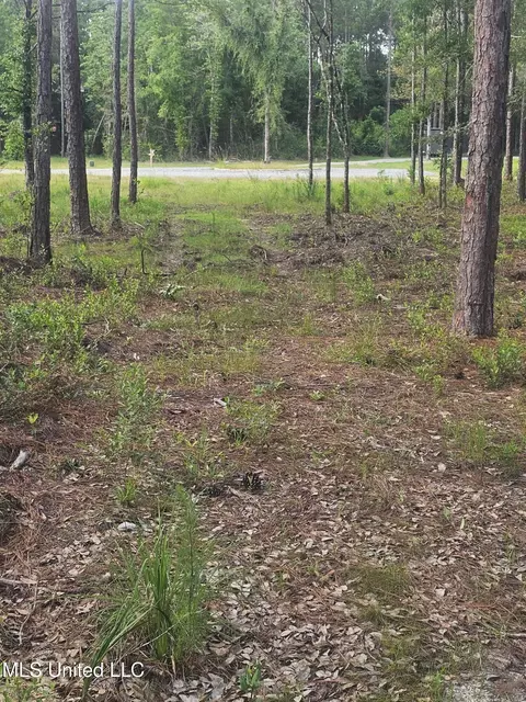 18517 Goff Farm Rd, Moss Point, MS 39562