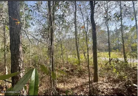 Dailey Road, Gautier, MS 39553 photo 2