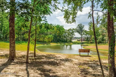 View/Area - 3390 Hatton Dr, Nesbit, MS 38651 photo 1 of 1