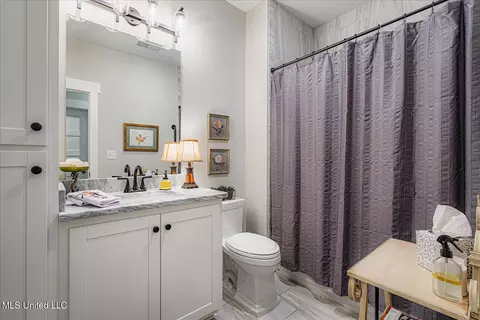 Bath - 3390 Hatton Dr, Nesbit, MS 38651 photo 3 of 3