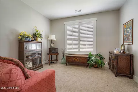 Other - 3390 Hatton Dr, Nesbit, MS 38651 photo 5 of 5