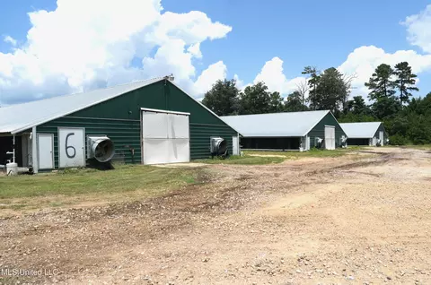331333 Davenport Rd, Heidelberg, MS 39439