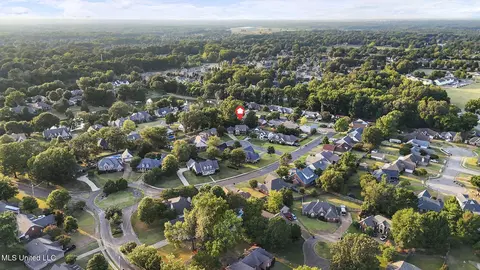 View/Area - 810 Cedar Trace Cv, Hernando, MS 38632 photo 6 of 6