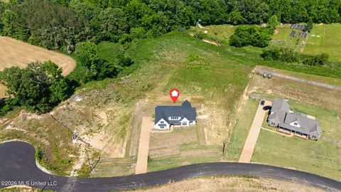View/Area - 4644 Taylor Trl, Hernando, MS 38632 photo 2 of 2