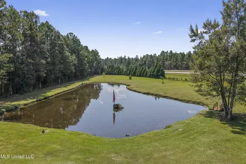 16081 Bill Bond Rd, Saucier, MS 39574 photo 42