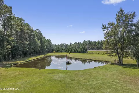 16081 Bill Bond Rd, Saucier, MS 39574 photo 38