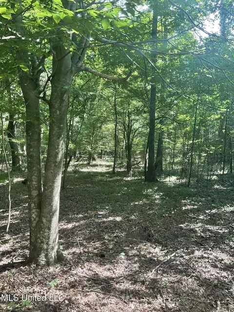 1277 Bar Ridge Dr, Edwards, MS 39066 photo 4