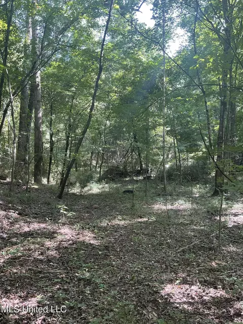 1277 Bar Ridge Dr, Edwards, MS 39066 photo 7