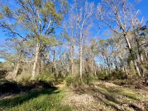 Morgantown Road, Mccomb, MS 39648 photo 7
