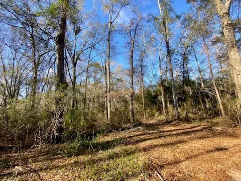 Morgantown Road, Mccomb, MS 39648 photo 4