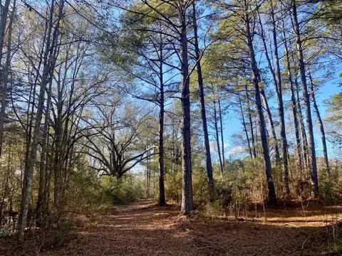 Morgantown Road, Mccomb, MS 39648 photo 8