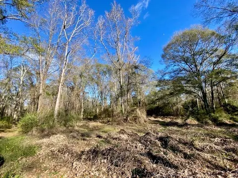 Morgantown Road, Mccomb, MS 39648 photo 6