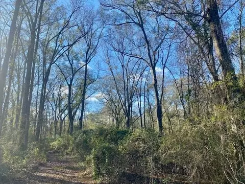 Morgantown Road, Mccomb, MS 39648