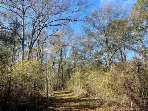 Morgantown Road, Mccomb, MS 39648 photo 3