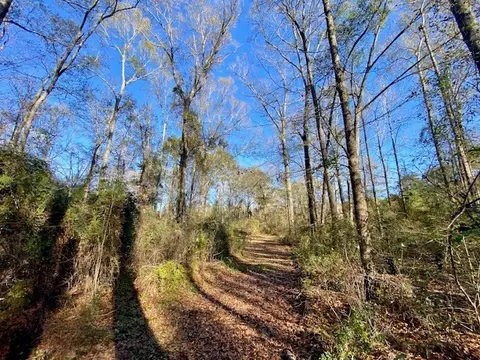 Morgantown Road, Mccomb, MS 39648 photo 5
