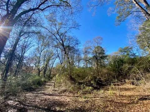 Morgantown Road, Mccomb, MS 39648 photo 9