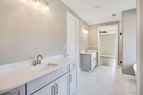 Bath - 2115 Livingston Way, Hernando, MS 38632 photo 4 of 7