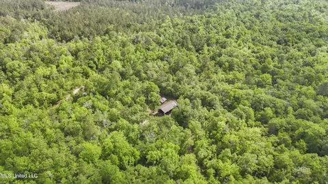 Other - 377 Deep Creek Rd # A, Wiggins, MS 39577 photo 9 of 19