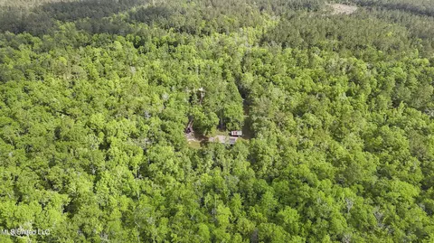 Other - 377 Deep Creek Rd # A, Wiggins, MS 39577 photo 10 of 19
