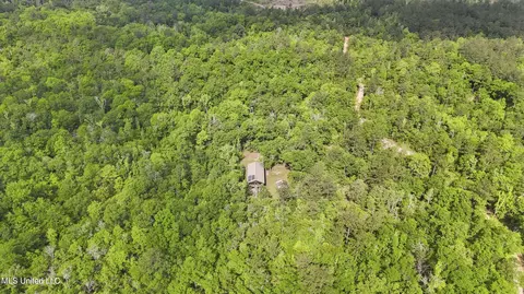 Other - 377 Deep Creek Rd # A, Wiggins, MS 39577 photo 12 of 19