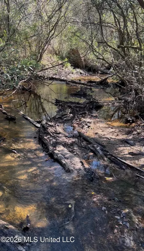 Other - 377 Deep Creek Rd # A, Wiggins, MS 39577 photo 19 of 19