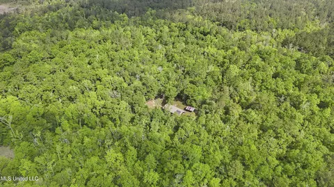 Other - 377 Deep Creek Rd # A, Wiggins, MS 39577 photo 11 of 19