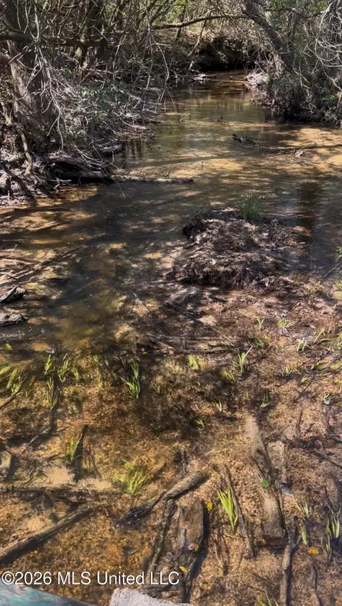 Other - 377 Deep Creek Rd # A, Wiggins, MS 39577 photo 18 of 19