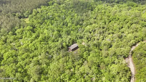 Other - 377 Deep Creek Rd # A, Wiggins, MS 39577 photo 8 of 19