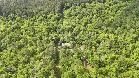 Other - 377 Deep Creek Rd # A, Wiggins, MS 39577 photo 7 of 19