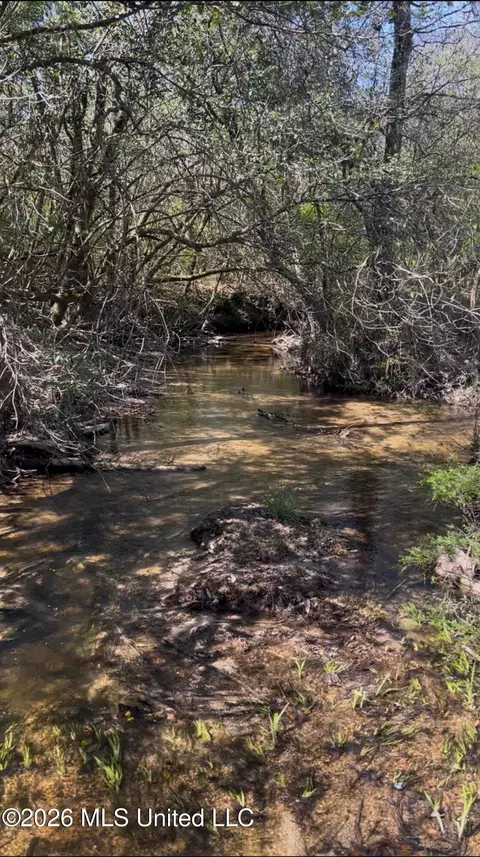 Other - 377 Deep Creek Rd # A, Wiggins, MS 39577 photo 17 of 19
