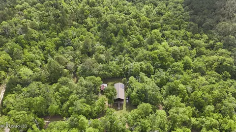 Other - 377 Deep Creek Rd # A, Wiggins, MS 39577 photo 6 of 19