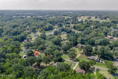 View/Area - 8620 E Cedar Lake Dr, Walls, MS 38680 photo 2 of 3