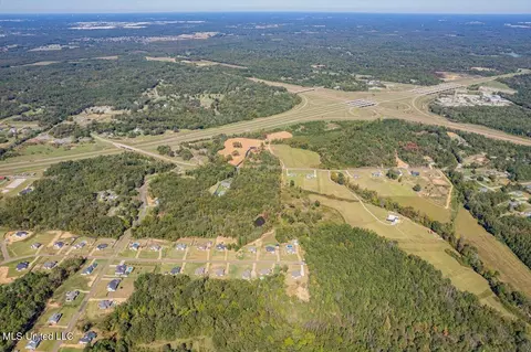 View/Area - 14691 Hidden Loop, Byhalia, MS 38611 photo 5 of 6